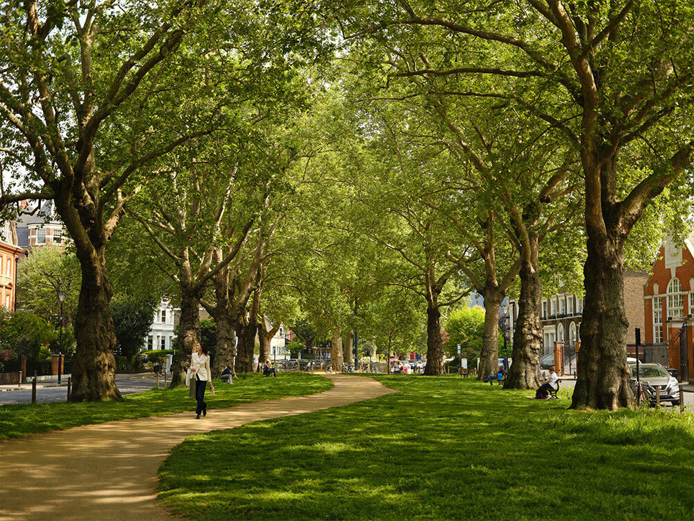 Living in Brook Green: Area Guide